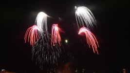 DSC_1819.JPG