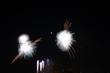 DSC_1916.JPG