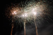 DSC_1784.JPG