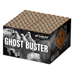 8058_ghostbuster_2025.png 8058_ghostbuster_2025.png