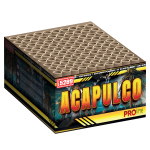 5289_acapulco_2025.png 5289_acapulco_2025.png