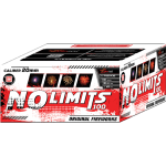 NO LIMITS 100.png
