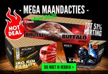 Maandactie Vuurwerk 365.jpg