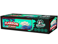 6631-Flareon.png