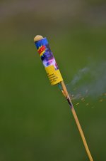 DSC_0060.jpg