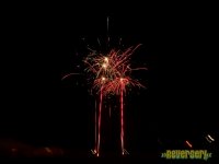 DSC03603.jpg
