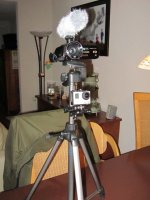 IMG_5497.jpg