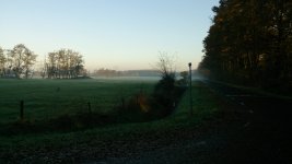DSC_0284.jpg