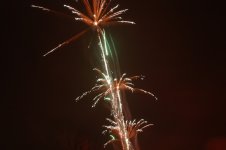 DSC_4529.jpg