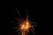 DSC_4511.jpg