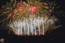 Feeries (1).jpg