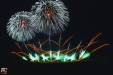 Feeries (13).jpg