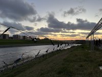 IMG_0930.jpeg