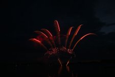DSC_0239.jpg