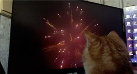 IMG_1042.jpeg