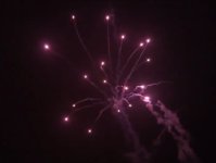 IMG_4916.jpeg