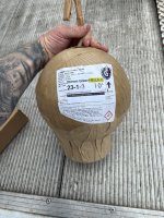 IMG_2731.jpeg