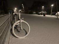 IMG_1935.jpeg