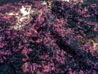 6bc3b458-21de-479f-b11f-ed4519423c68.jpeg