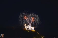 1 (4).jpg