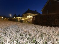 IMG_3812.jpeg