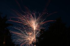 DSC_0879.jpg