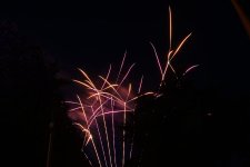 DSC_0951.jpg