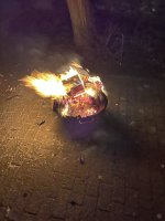 IMG_1329.jpeg