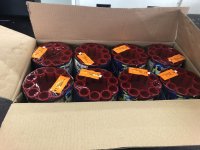 thumbnail_IMG_7303.jpeg
