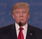 46283.gif