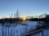 thumbnail_IMG_8282.jpeg
