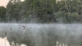 IMG_8519.jpeg