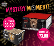 BESTEL NU EN ONTVANG 10% GRATIS VUURWERK! (560 x 480 px) (19).png