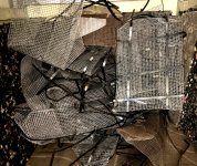 IMG_7776.jpeg