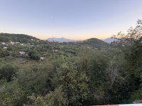 IMG_3509.jpeg