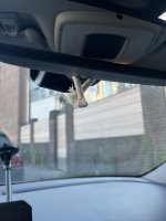 IMG_2046.jpeg