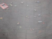 IMG_5799.JPG