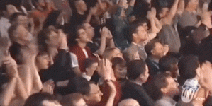 48494.gif