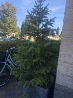 IMG_1116.JPEG