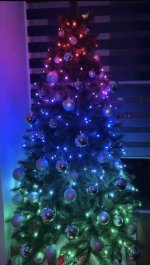 IMG_9180.jpeg