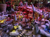 IMG_1149.JPG