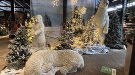 IMG_9194.jpeg