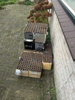 Afbeelding van WhatsApp op 2025-01-01 om 16.27.44_e6977257.jpg