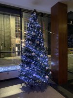IMG_7076.jpeg