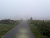 IMG_3869.jpeg