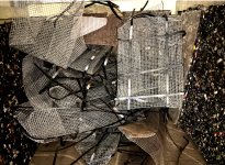 IMG_8956.jpeg