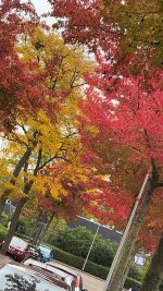 IMG_7824.jpeg