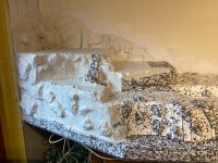 IMG_1334.jpeg