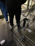 IMG_4862.jpeg