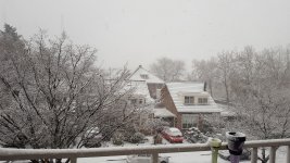 20171210_114016.jpg